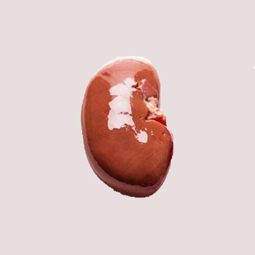 Raw Mixed Kidney Chunks 1kg Raw Beef Kidney Chunks 1kg