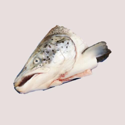 Raw Salmon Head x3 Kiezebrink Salmon Heads x2