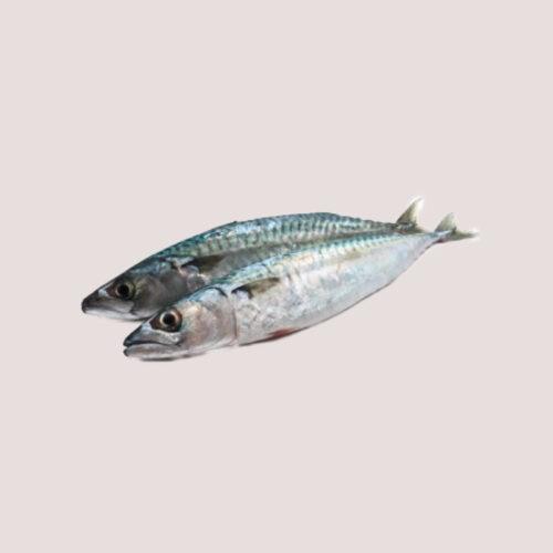 Freeflow Whole Mackerel 1kg