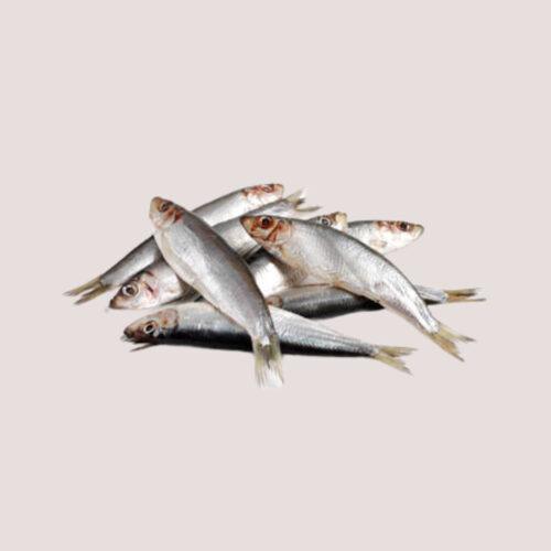 Freeflow Whole Sprats 1kg Freeflow Whole Sprats 300g