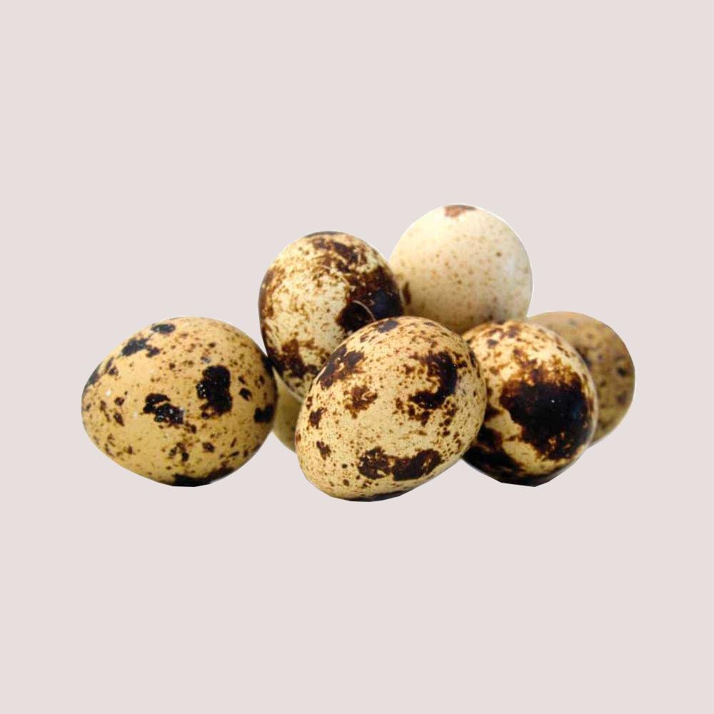 Whole Quail Eggs x12