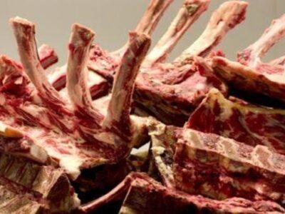 Raw Bones for Ferrets