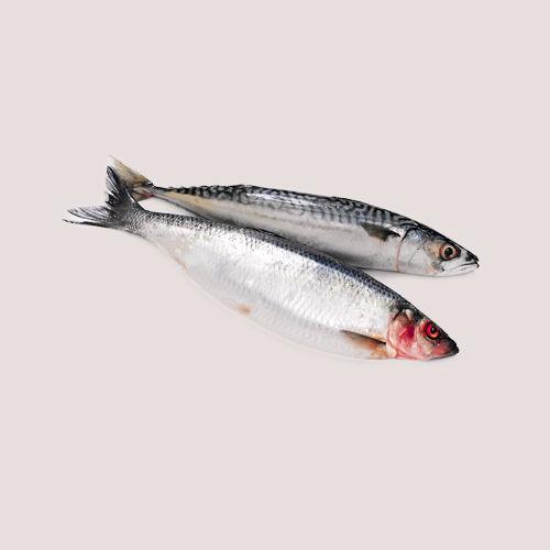 Freeflow Whole Herring 1kg