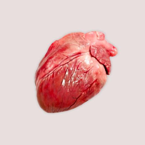 Raw Goat Hearts 1kg Raw Pig Hearts 1kg