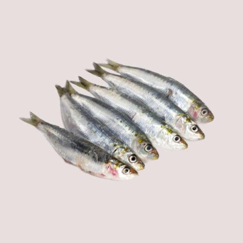 Freeflow Whole Sardines 1kg