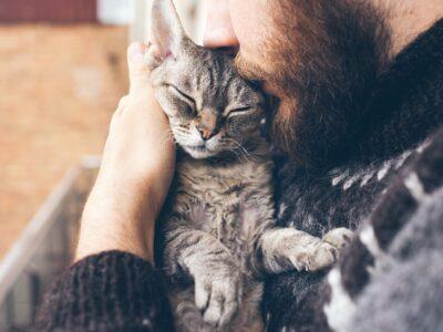 Cat Care & Grooming