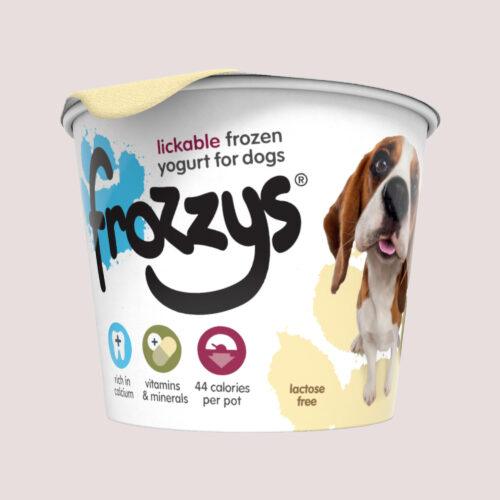 Frozzys Frozen Yoghurt Original Single