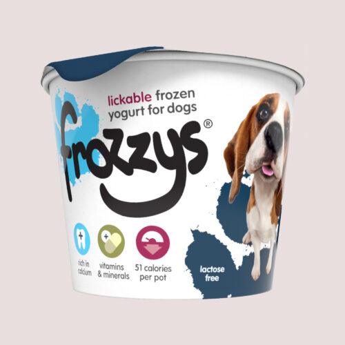 Frozzys Frozen Yoghurt Blueberry Single