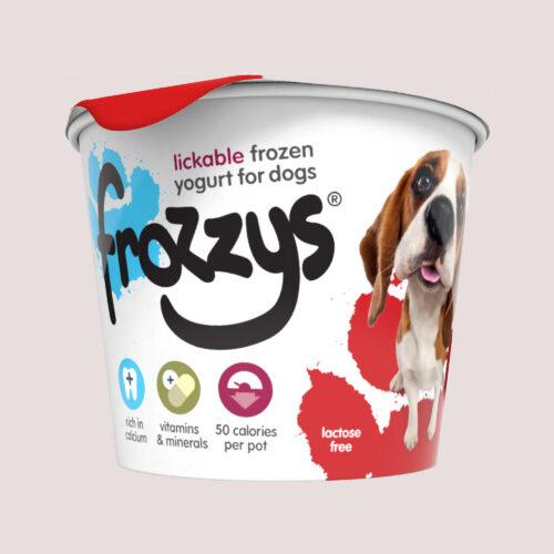 Frozzys Frozen Yoghurt Strawberry Single