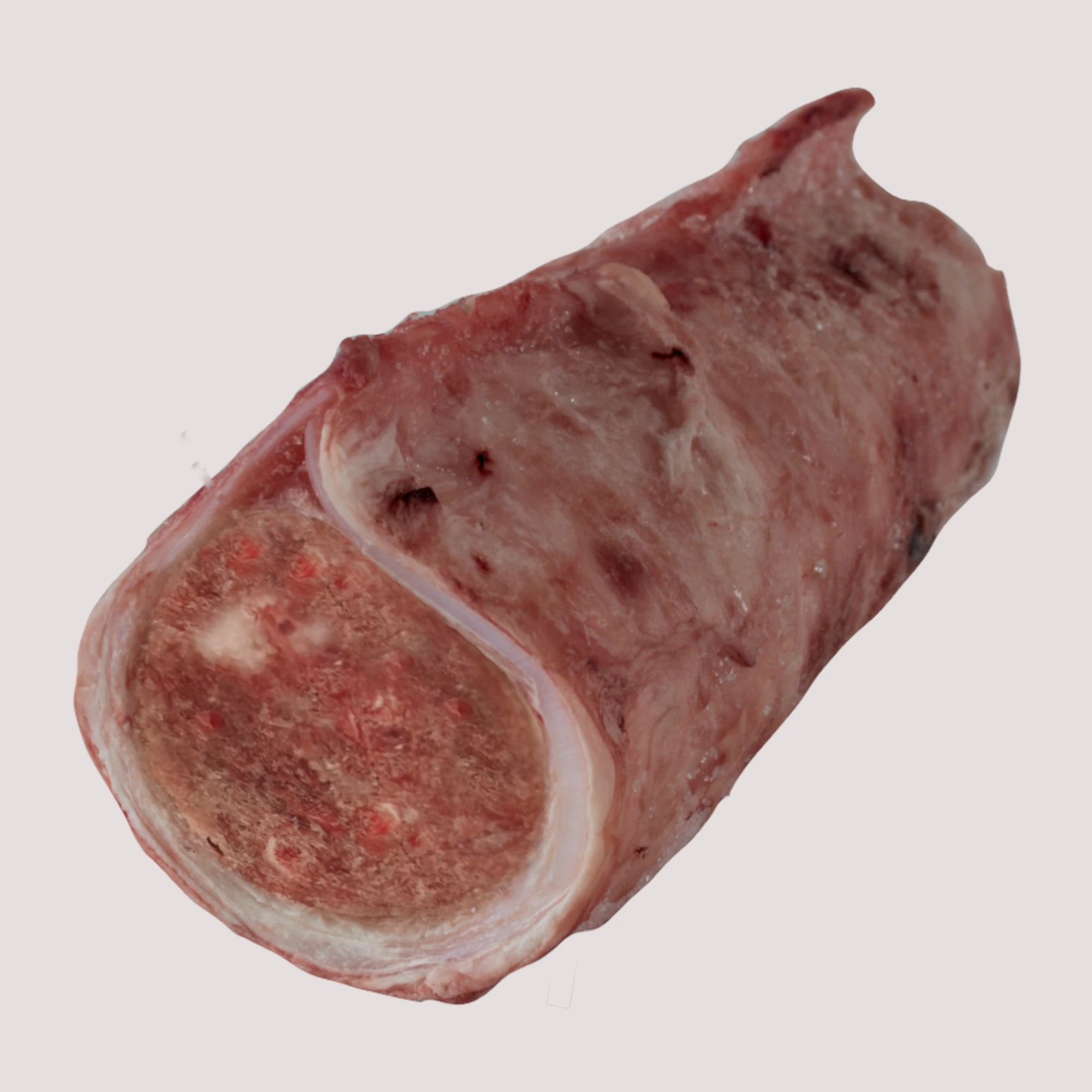 Raw Beef Throttle Stuffed With Goose & Cranberry x4