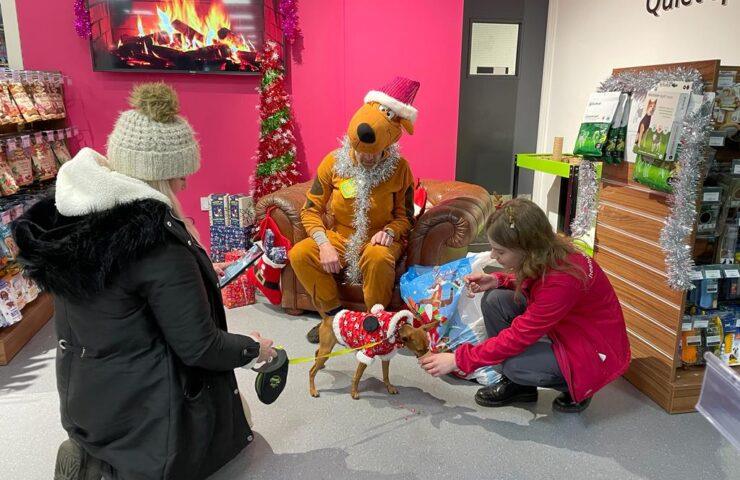 Father pup-mas visits Healthy Pet Store