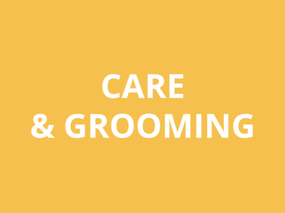 Ferret Care & Grooming
