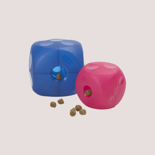 Buster Pet Puzzle Cube