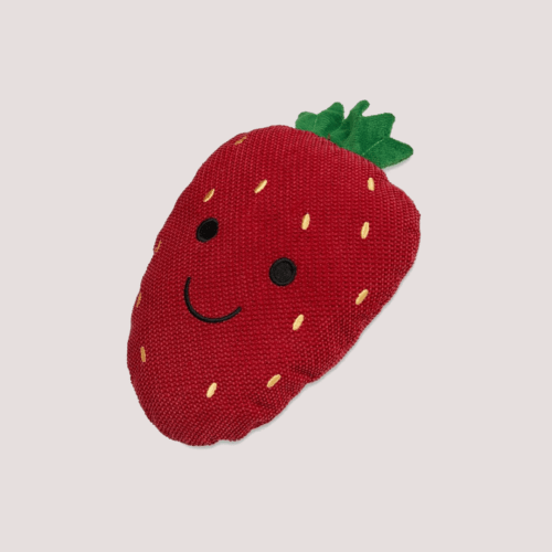 PetFace Catnip Strawberry Cat Toy
