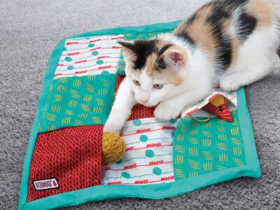 Cat Interactive Toys & Puzzles