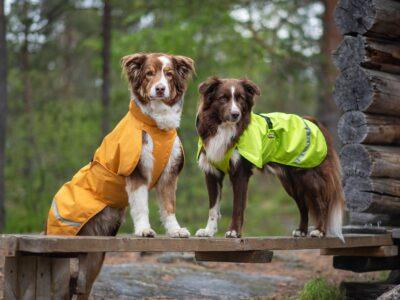 Dog Coats