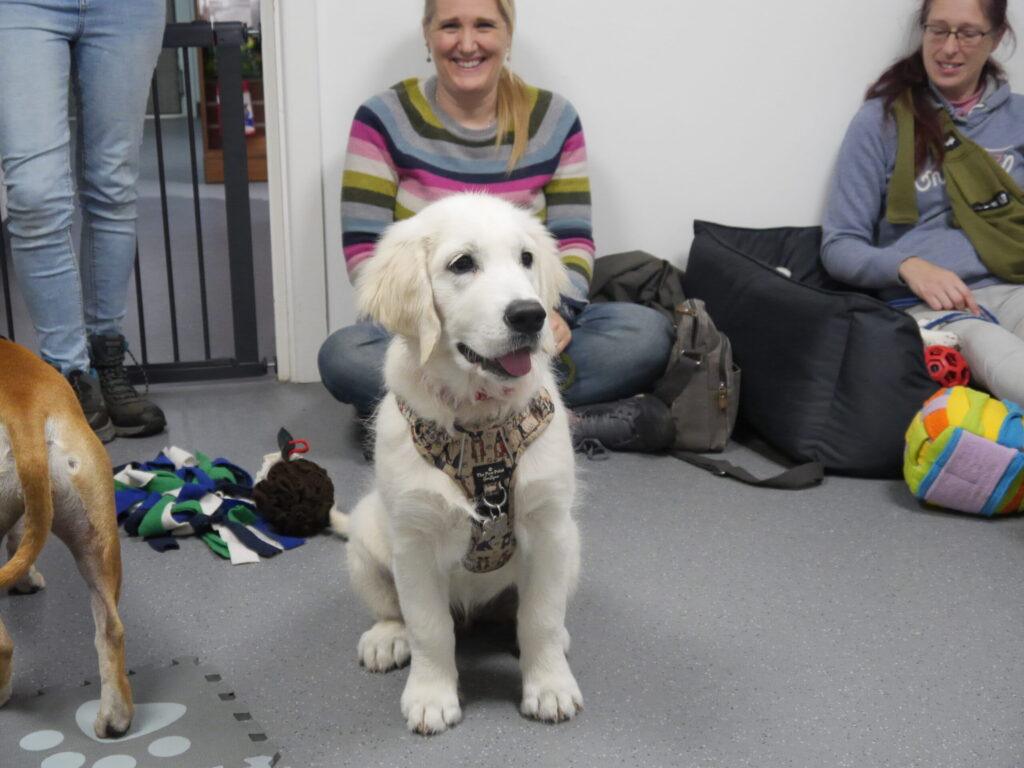 puppy natter on Saturday 20th July