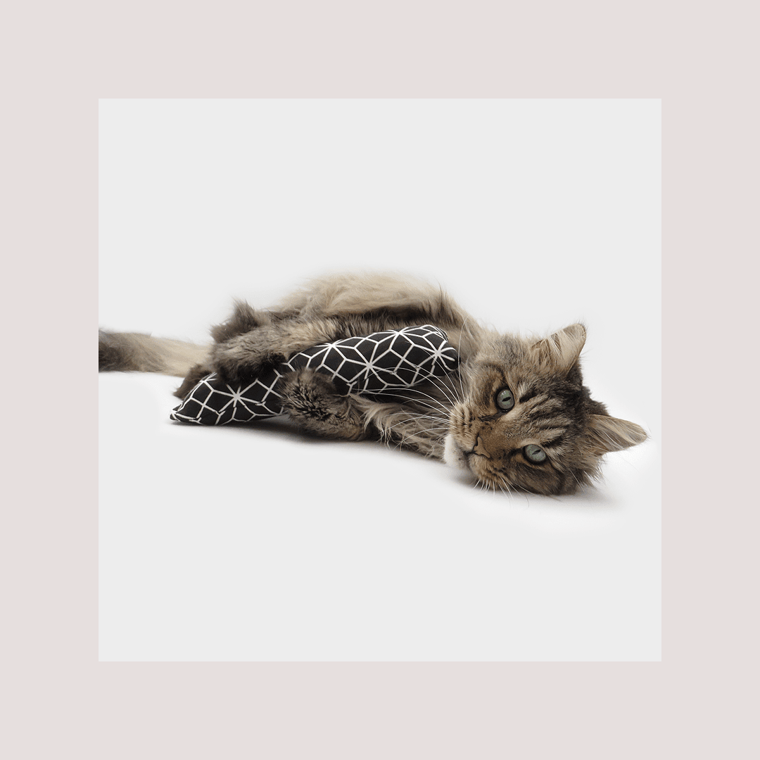 4Cats Catnip Wrestler - Image 2