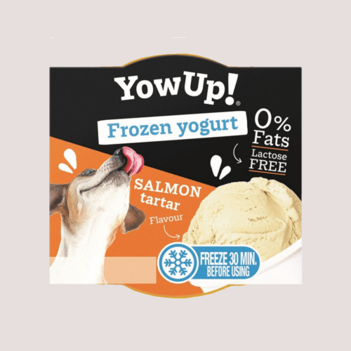 Yow Up Salmon Tartar Ice Cream