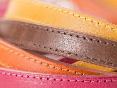 Dog Collars, Leads and Harnesses