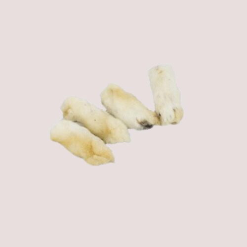 Rabbit Feet