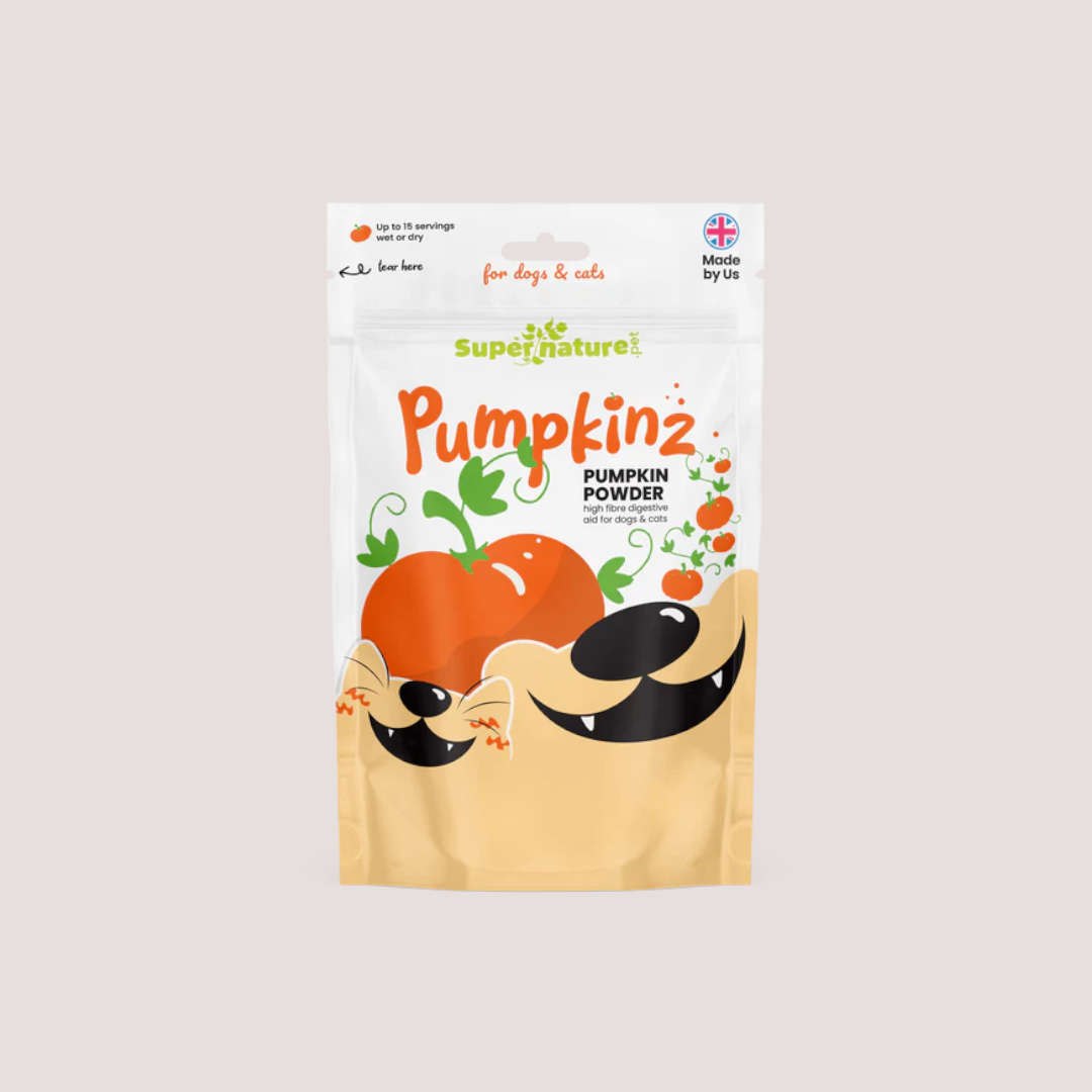 Pumpkinz Pumpkin Powder 100g