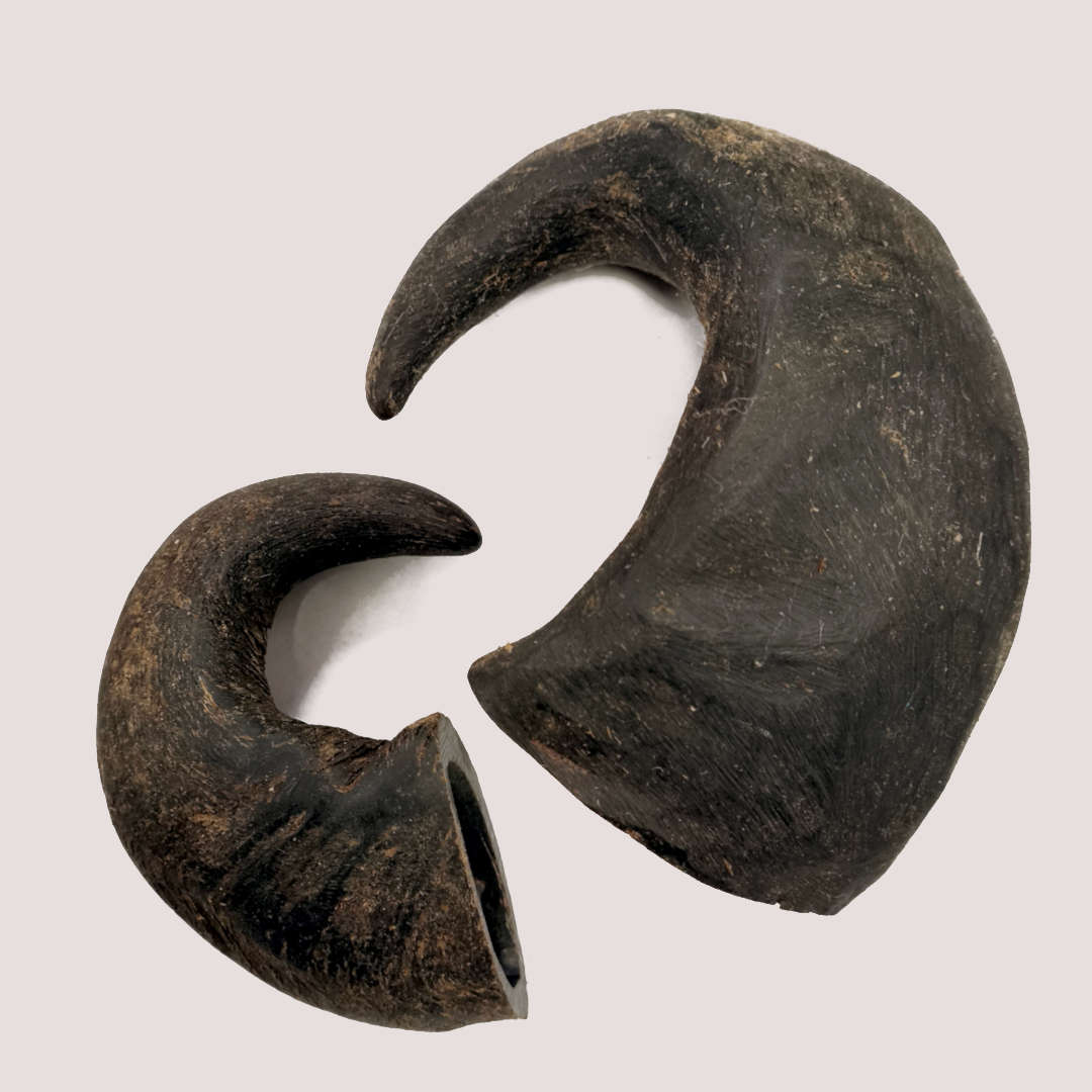 Buffalo Unpolished Horn Small
