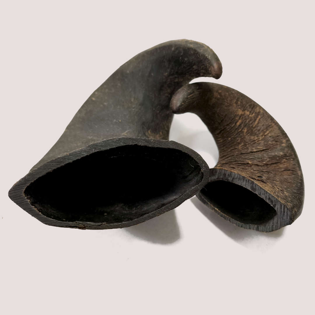 Buffalo Unpolished Horn Small