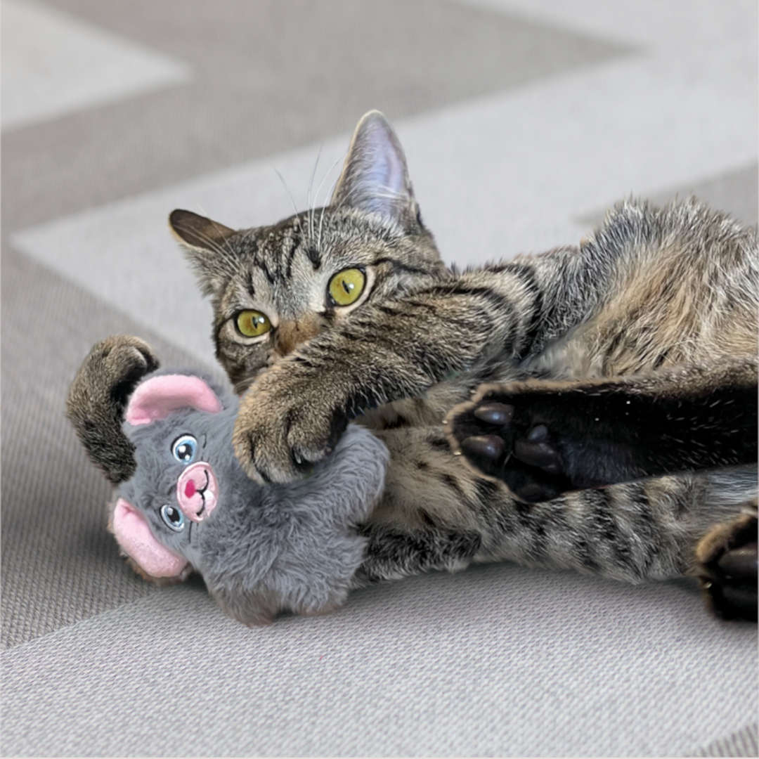 KONG Cat Snuzzles Mouse