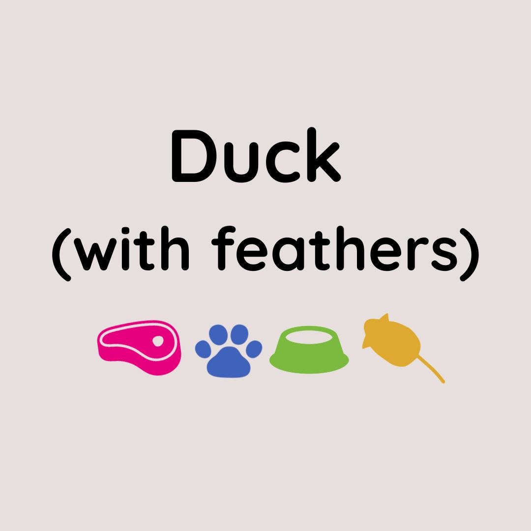 Whole Large Duck With Feathers 2kg+