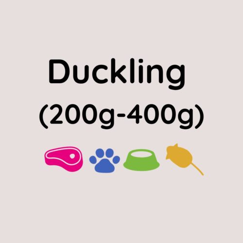 Raw Whole Duckling 200 - 400g