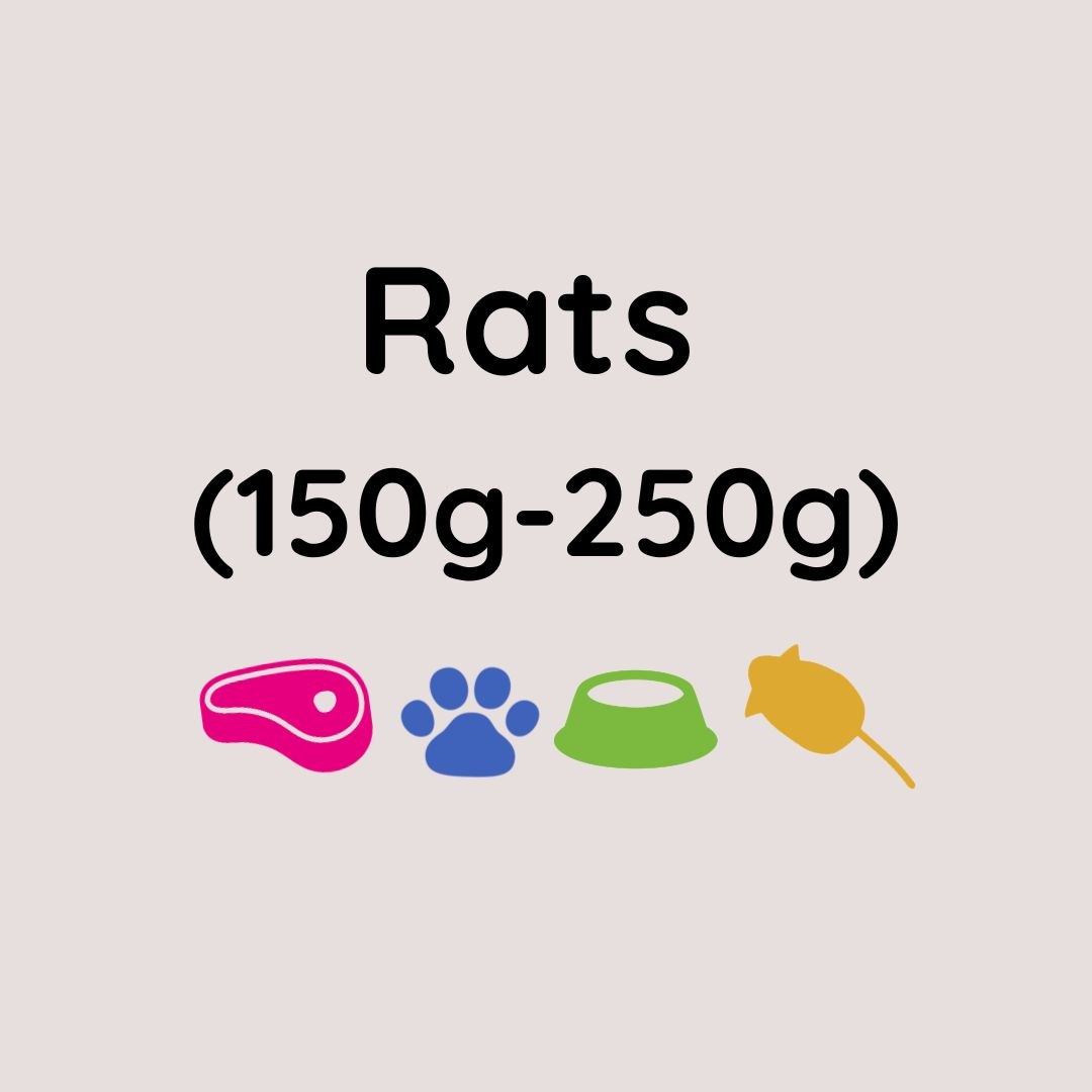 Kiezebrink Regular Rats x5 (150-250g)