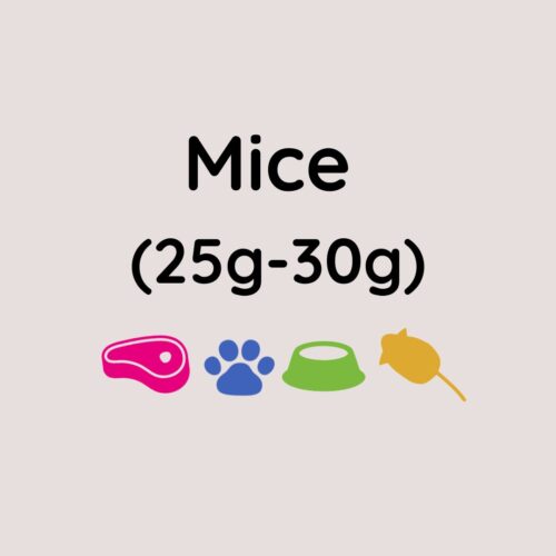 Kiezebrink Large Mice 25-30g x10
