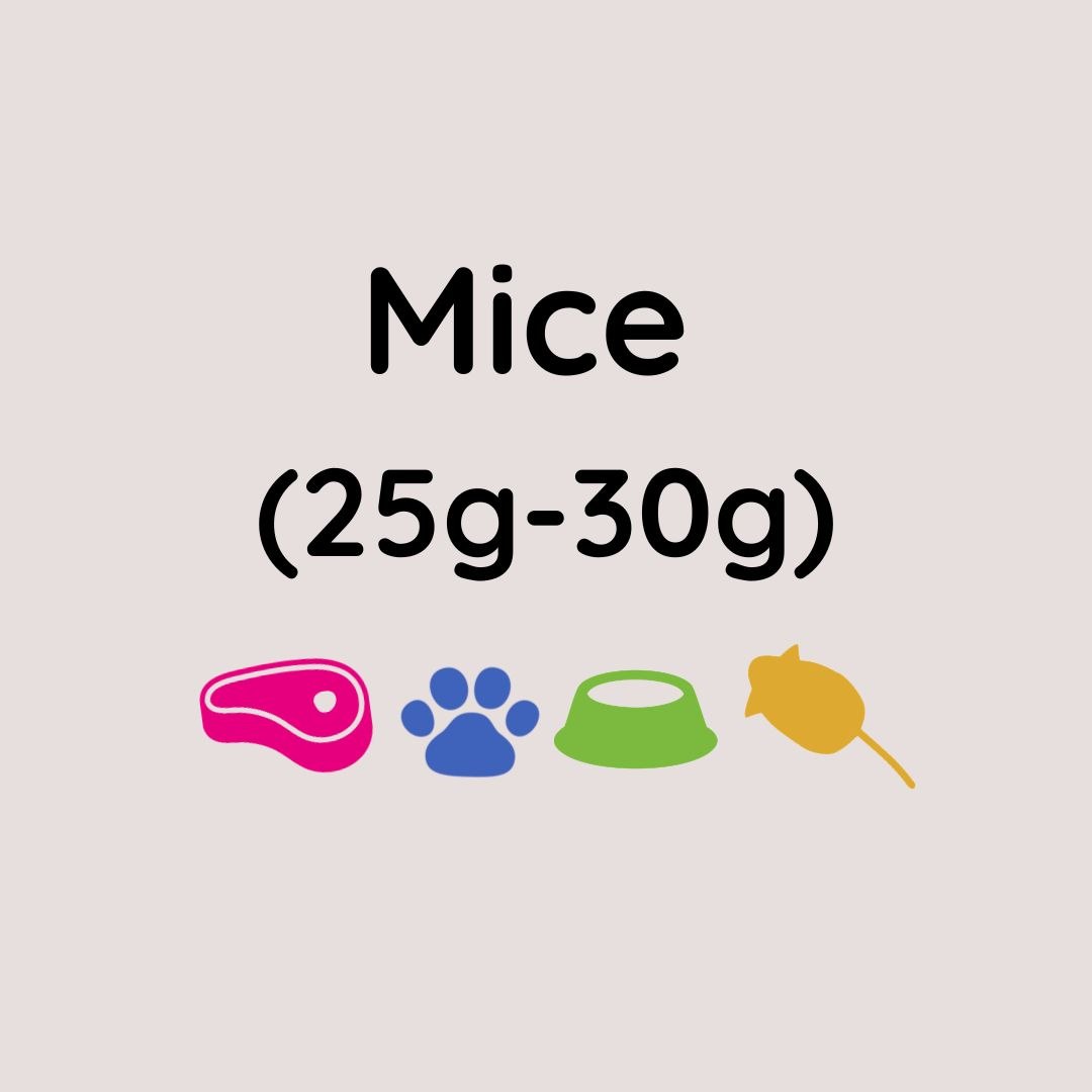 Kiezebrink Large Mice 25-30g x10