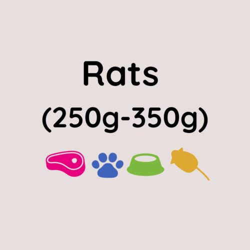 Kiezebrink Large Rats x5 (250-350g)