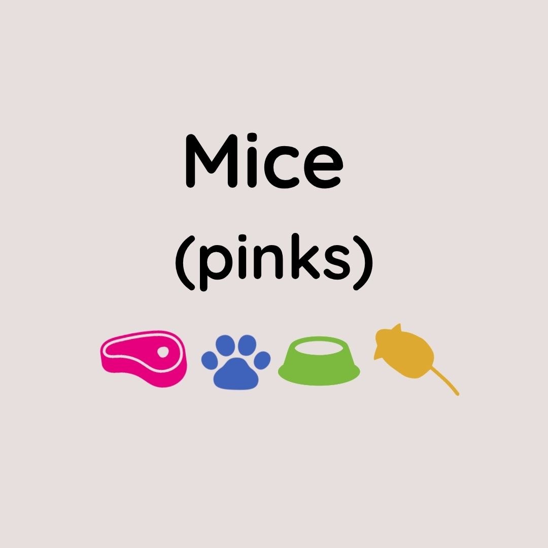 Kiezebrink Mouse Pinks x25