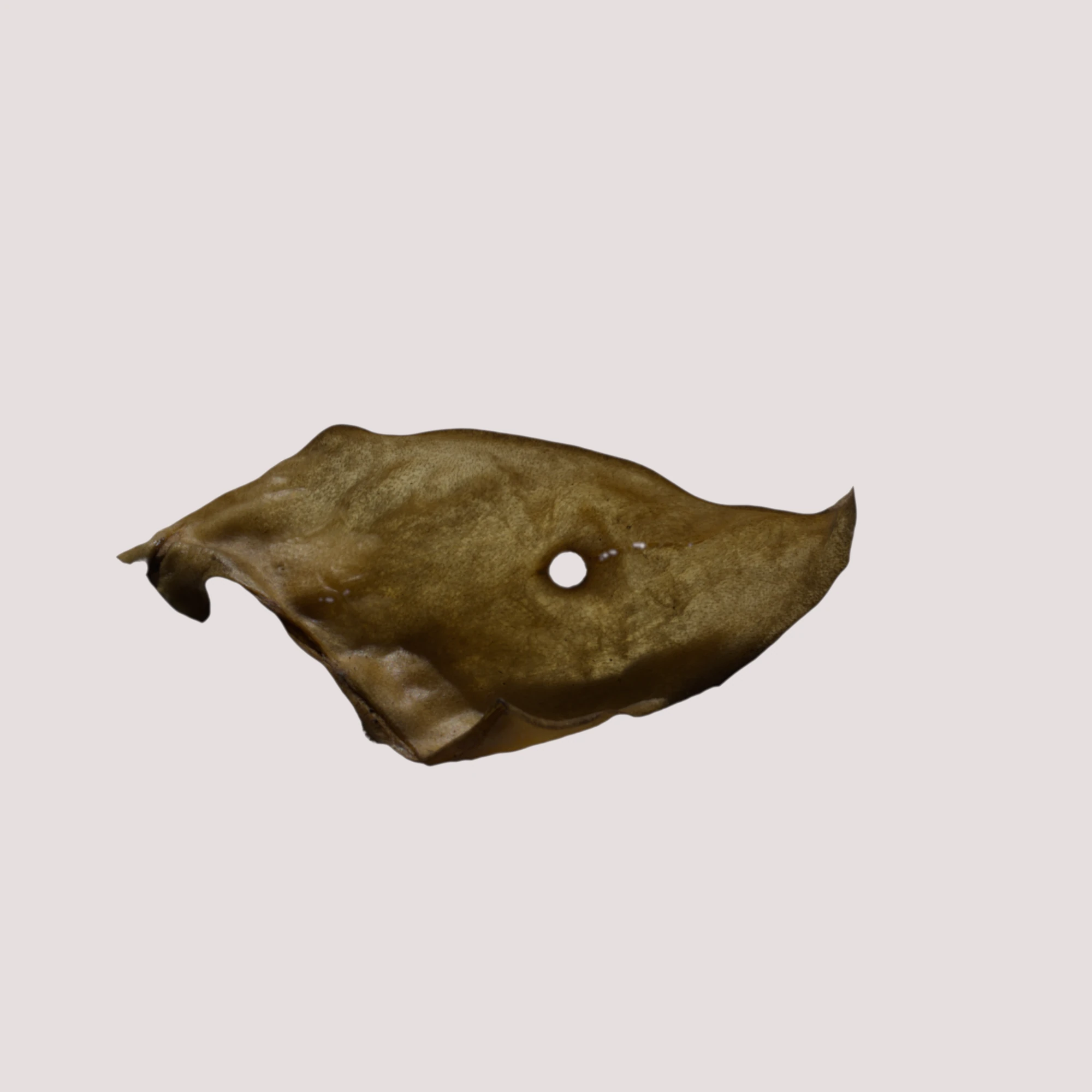 Buffalo Ears Small Pack of 10