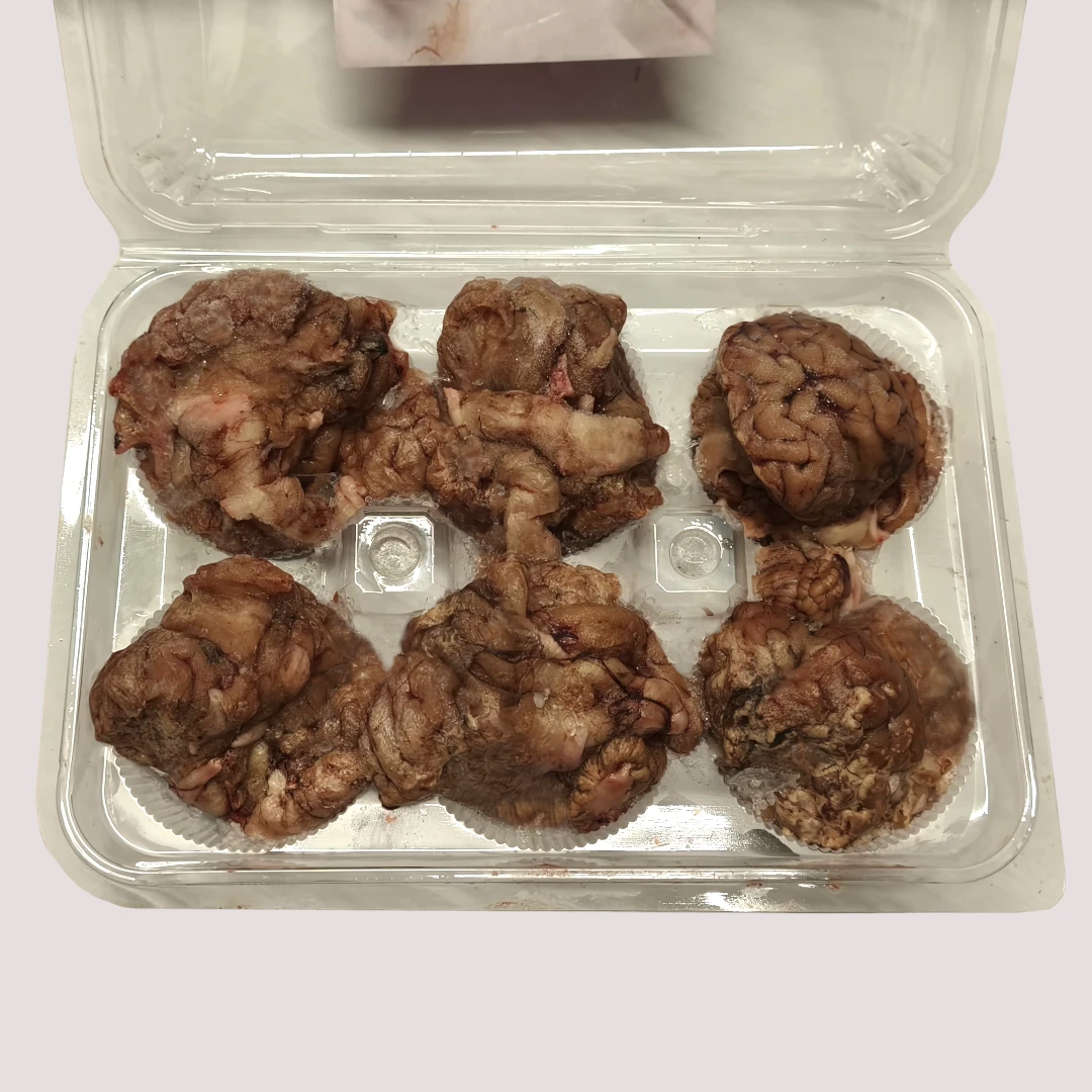 Lamb Brain2